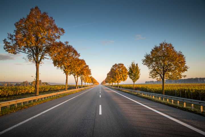 Lorem ipsum dolor sit amet, consectetur adipiscing elit