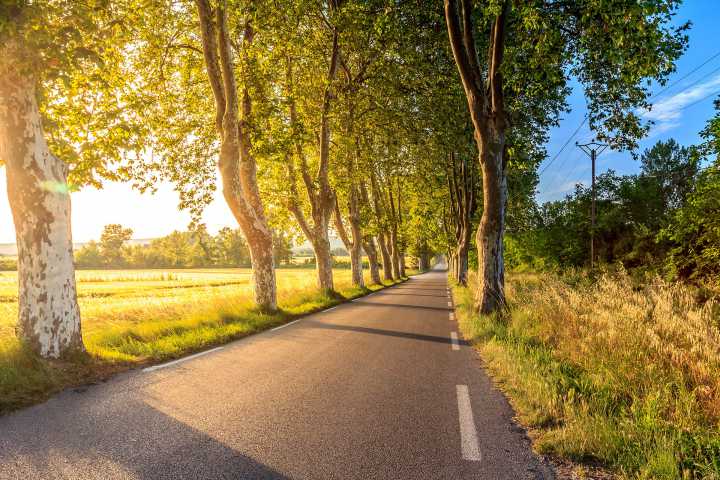 Aliquam a justo ligula duis ut ultrices elit, eu imperdiet erat