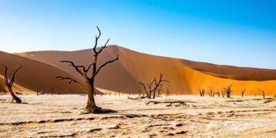 Día Mundail de la lucha contra la desertificación y la sequía