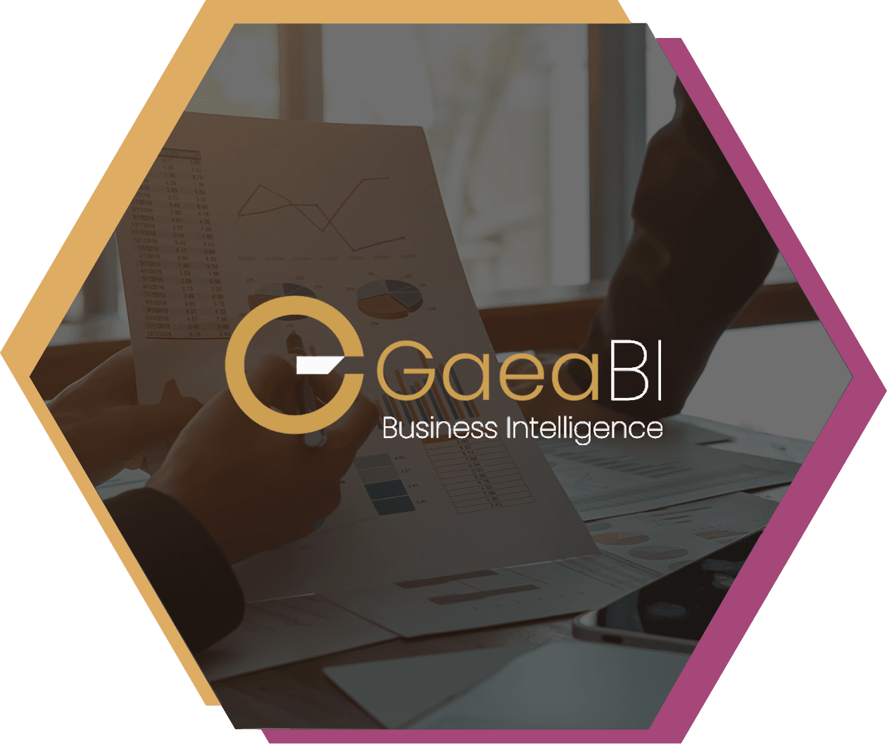 GaeaPeople Business Intelligence